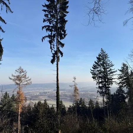 Apartment Sonnenwinkel - Mit Wintergarten, Terrasse & Parkplatz Radolfzell am Bodensee